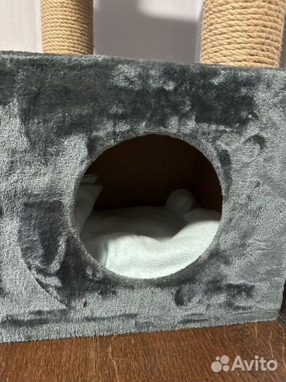 Когтеточка с домиком