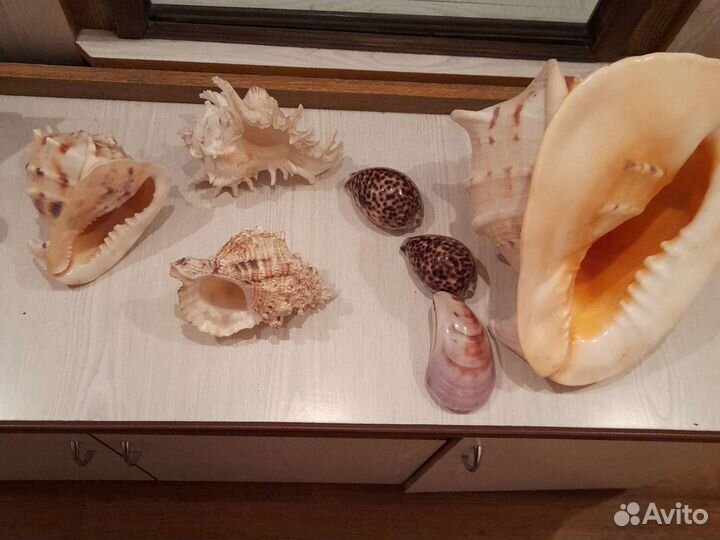 Предметы для украшения интерьера