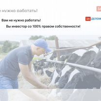 Животноводческое агентство в городе, Гарчак