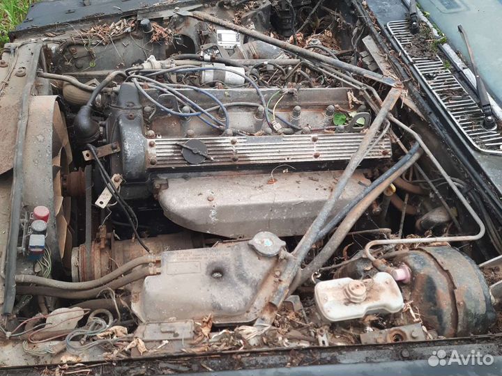 Jaguar XJ Series III