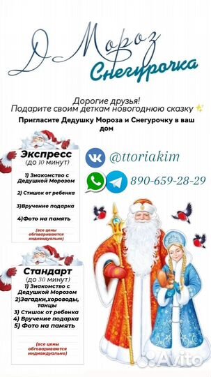 Дед мороз и снегурочка на дом