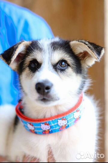 Малышка ждет маму