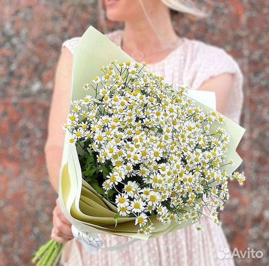 Доставка цветов. Ромашки