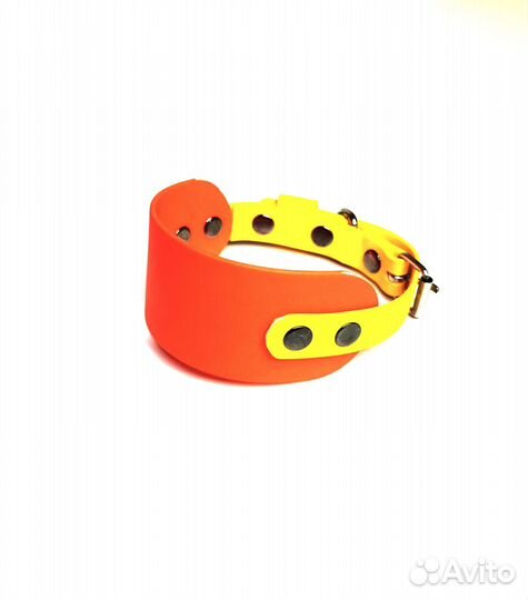 Ошейник-селедка из биотана