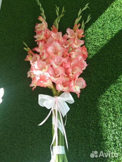 Гладиолусы, георгины лилии