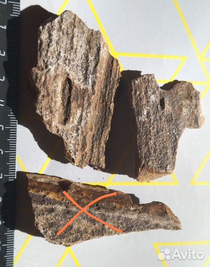 Редчайшая древесина