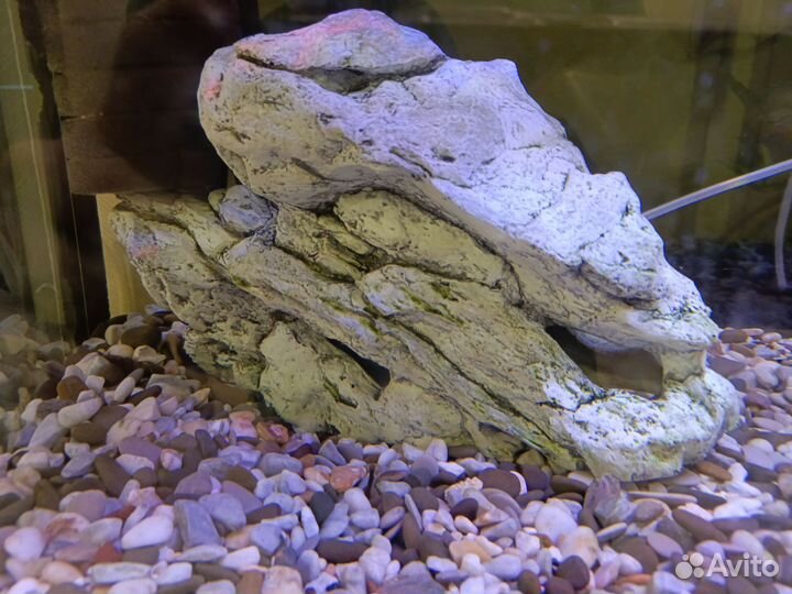 Декор и оборудование для аквариума