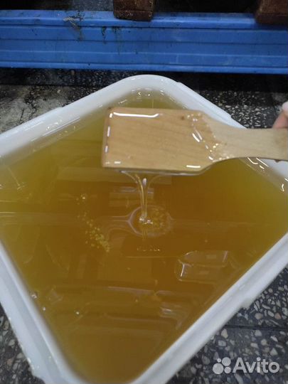 Натуральный свежий мёд акация Качка 2023