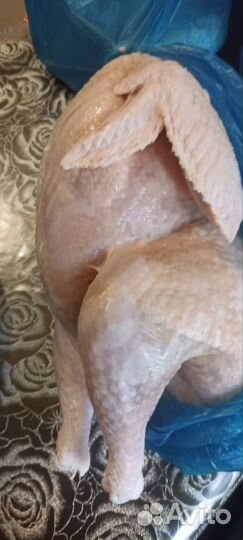 Мясо домашней индейки