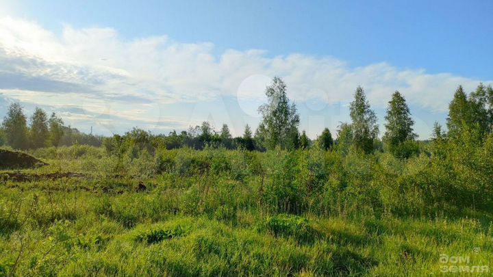 Участок 11 сот. (ИЖС)