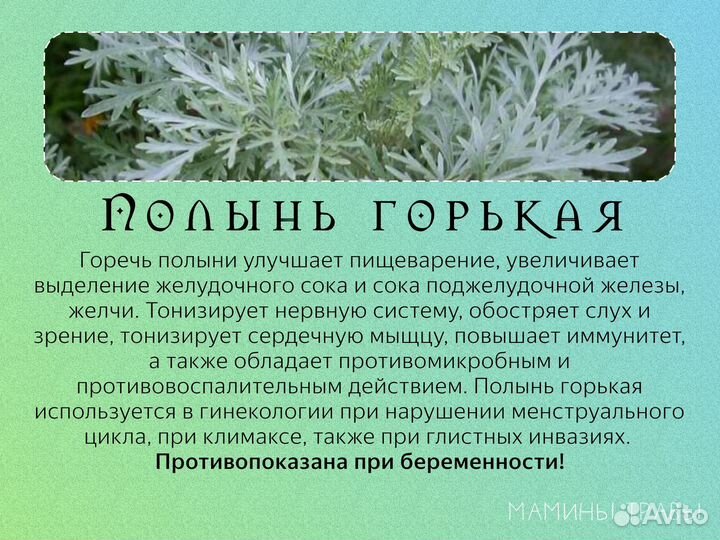Травы лечебные