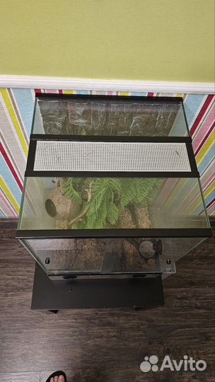Террариум для рептилий