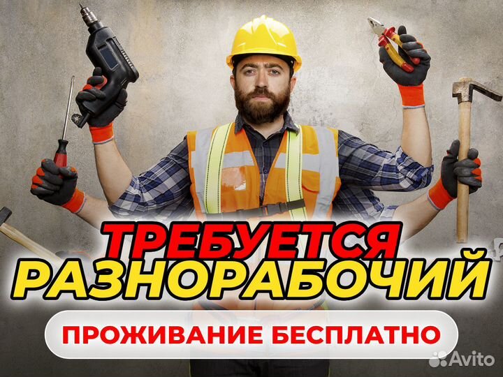 Разнорабочие: срочный набор