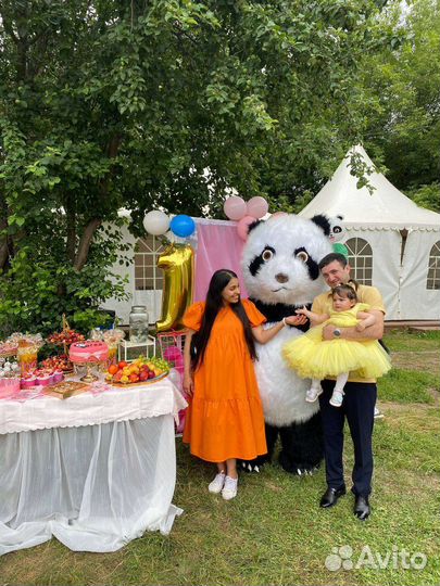 Поздравления белого мишки и панды