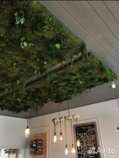 Фитостена, искуственное озеленение