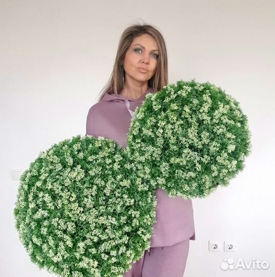 Фитостена. Вертикальное озеленение