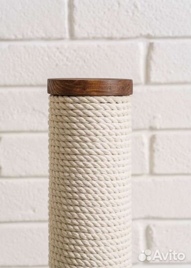 Когтеточка