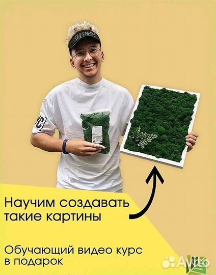 Стабилизированный мох, розница и опт, ягель