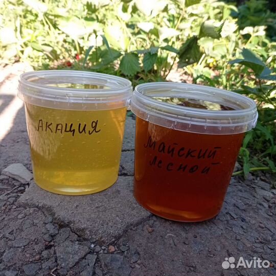 Мёд с личной пасеки 2023 года