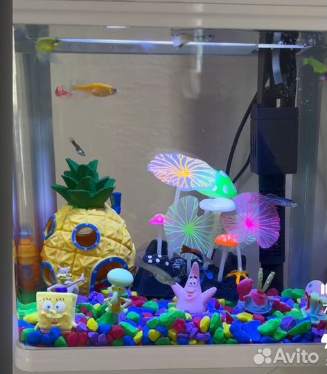 Аквариум