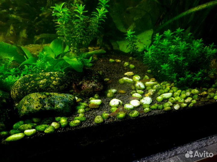 Аквариум с тумбой
