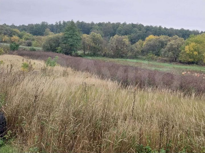 Дом 60 м² на участке 50 сот.