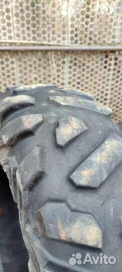 Шины maxxis bighorn