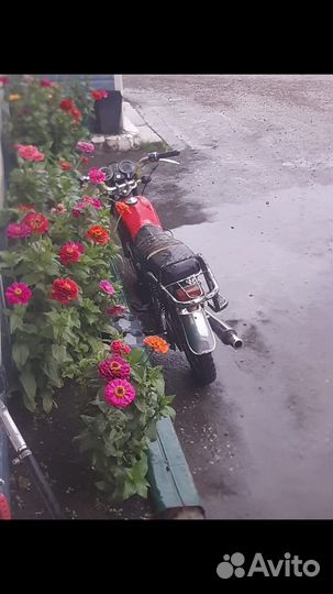 Мопеды альфа 110 кубов бу