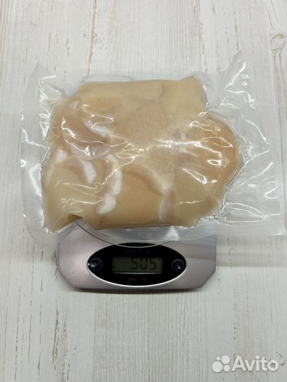 Гребешок приморский Огромный