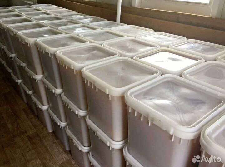 Мёд оптом от пасечника