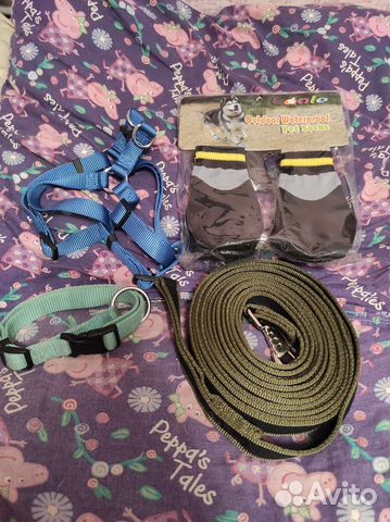 Рулетка, шлейка, носки, поводок для собаки