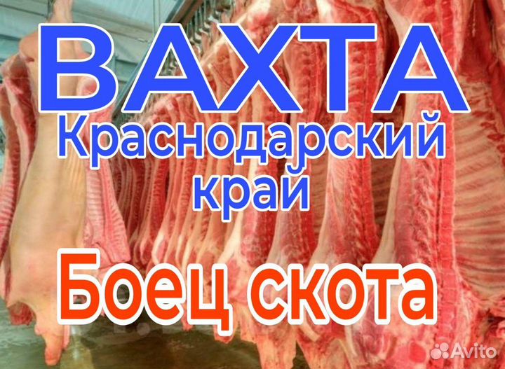 Боец скота /Вахта/ мясокомбинат Краснодарский край