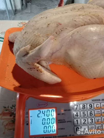 Домашнее мясо бройлеров, копченые, тушенка