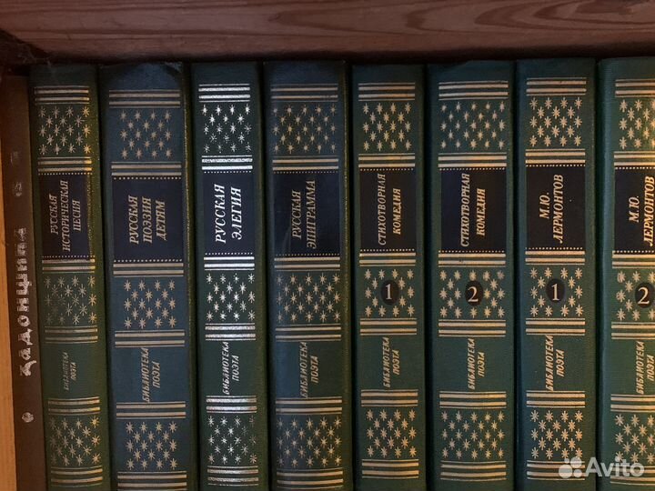 Библиотека поэта