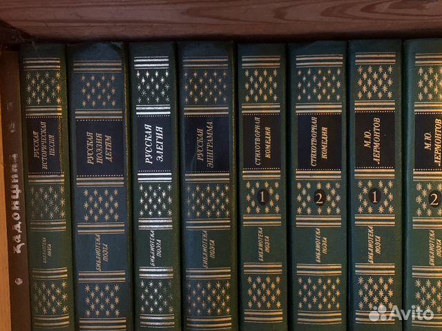 Библиотека поэта