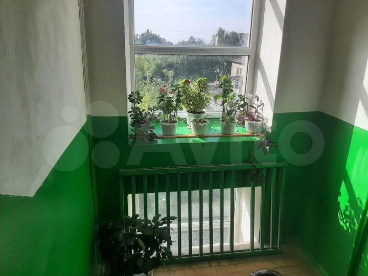 3-к. квартира, 56,9 м², 4/5 эт.