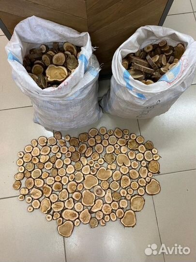 Спилы можжевельника