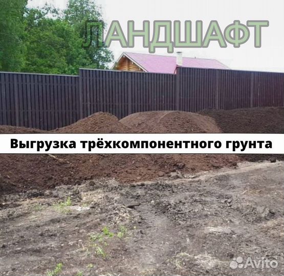 Городской рулонный газон доставка Апрелевка