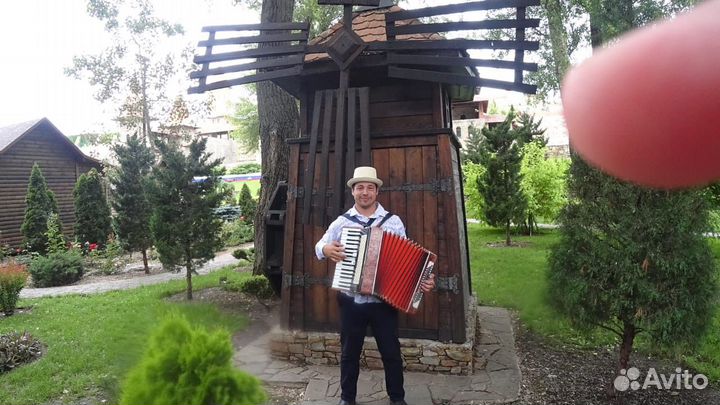 Аккордеонист Баянист Гармонист на праздники