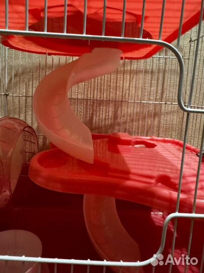 Клетка для грызунов бу