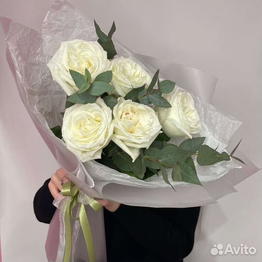 Розы Эквадор премиум