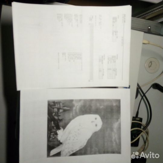 Лазерный принтер, лазерное мфу