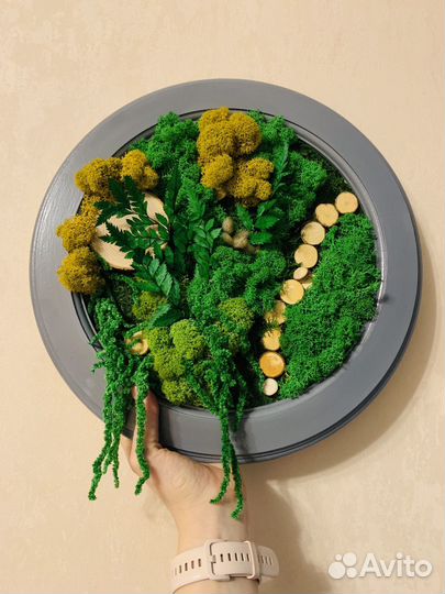 Панно из стабилизированных растений