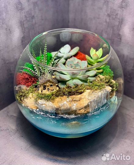 Флорариум из суккулентов