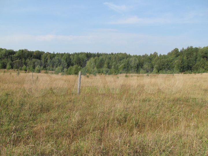 Участок 21,5 сот. (ИЖС)