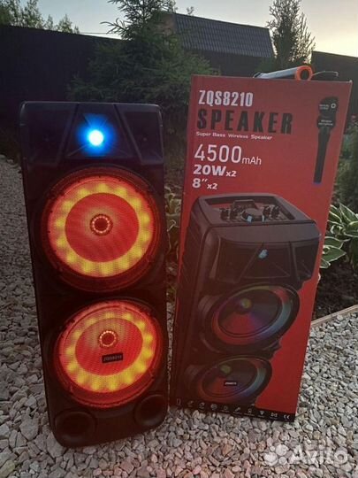 Колонка с беспроводным микрофоном