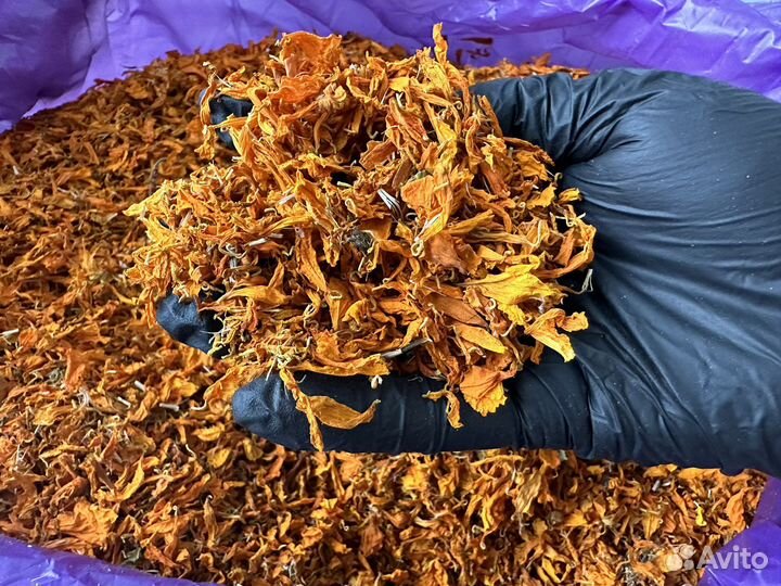 Шафран имеретинский из Грузии