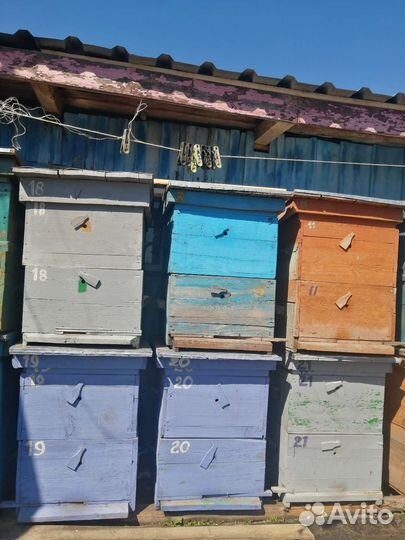 Улей для пчел
