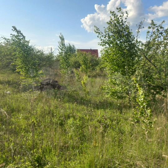 Участок 7 сот. (СНТ, ДНП)