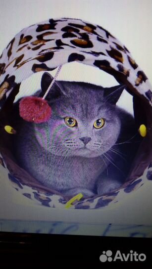 Тунель-домик для кошки